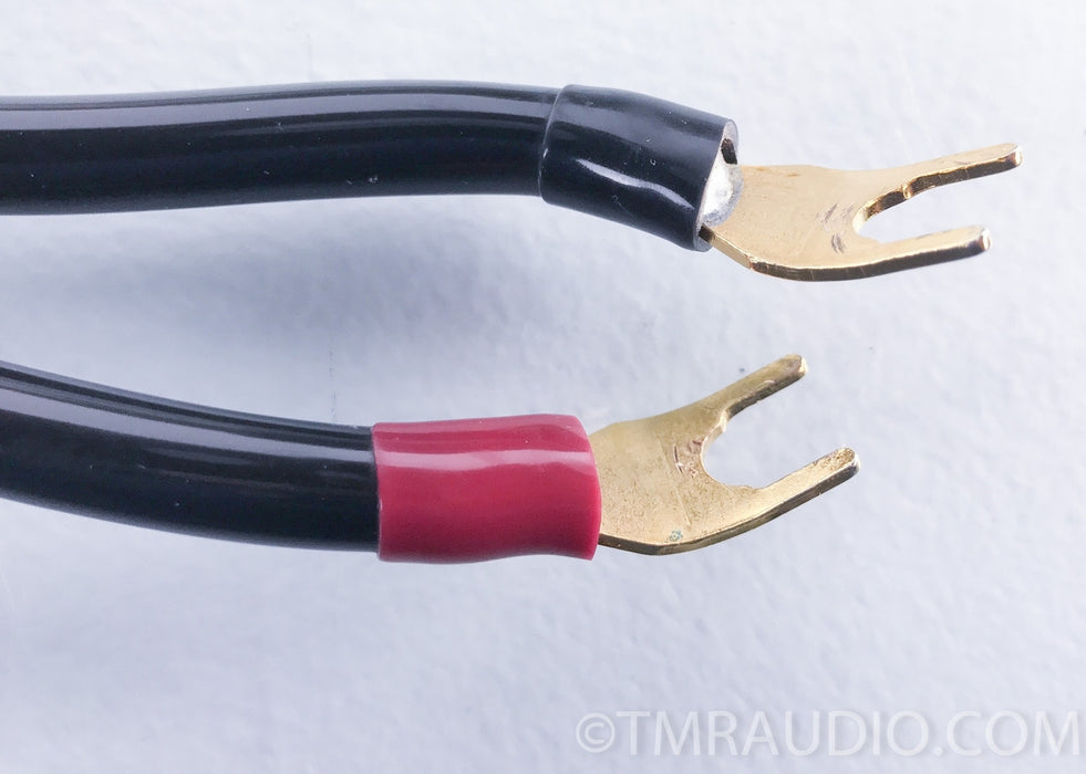 Transparent Audio MusicWave Plus Speaker Cable
