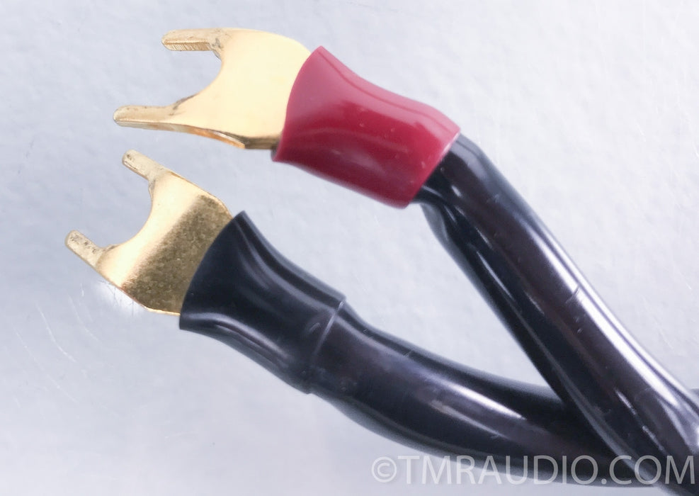 Transparent Audio MusicWave Plus Speaker Cable