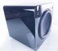 SVS SB13-Ultra 13.5" 1000W Subwoofer