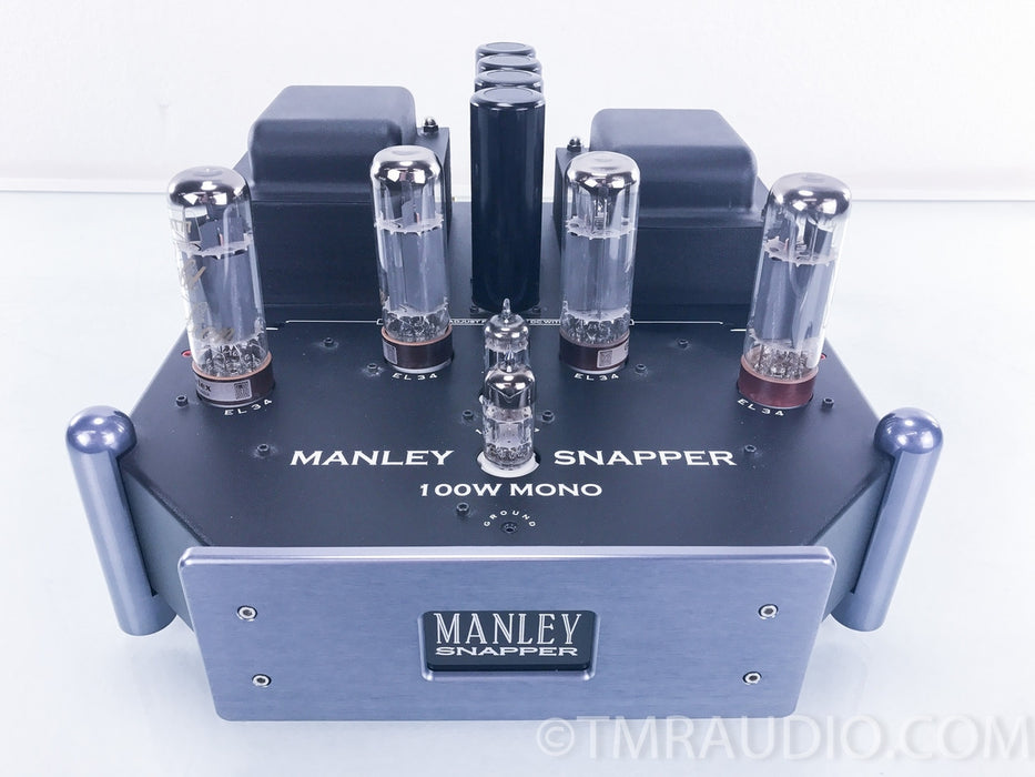 Manley Labs Snapper Tube Mono Block Amplifiers