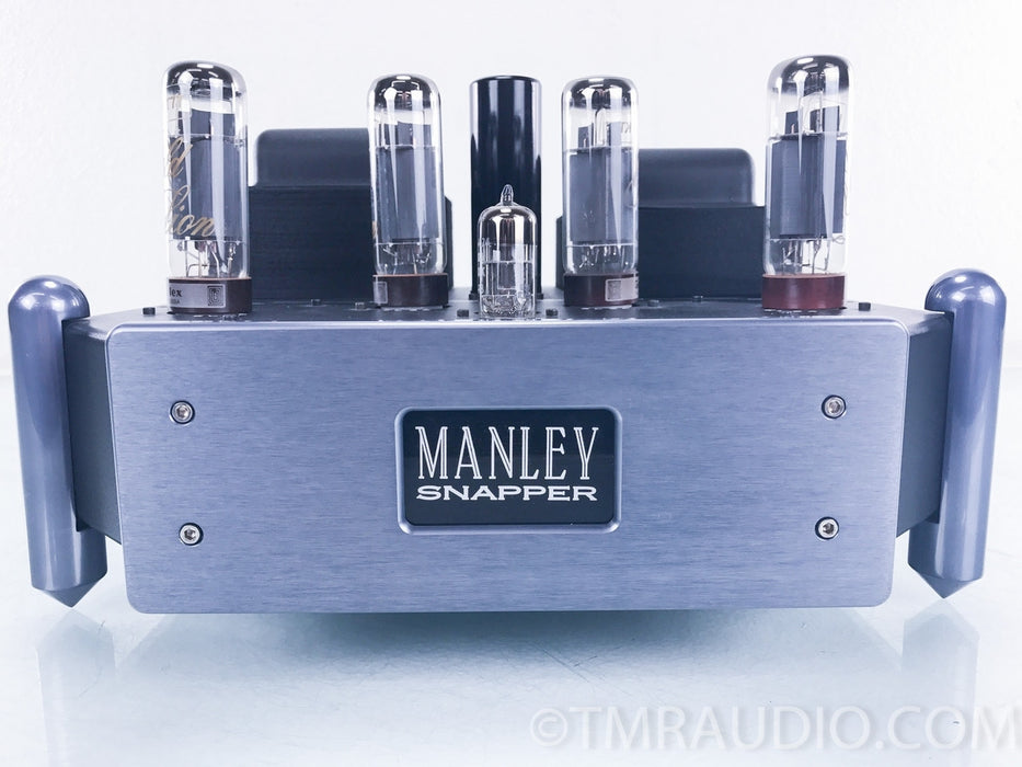 Manley Labs Snapper Tube Mono Block Amplifiers