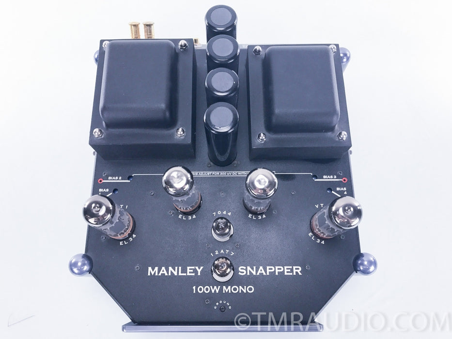 Manley Labs Snapper Tube Mono Block Amplifiers