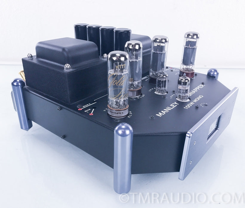Manley Labs Snapper Tube Mono Block Amplifiers