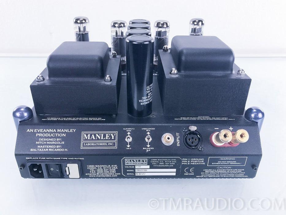 Manley Labs Snapper Tube Mono Block Amplifiers
