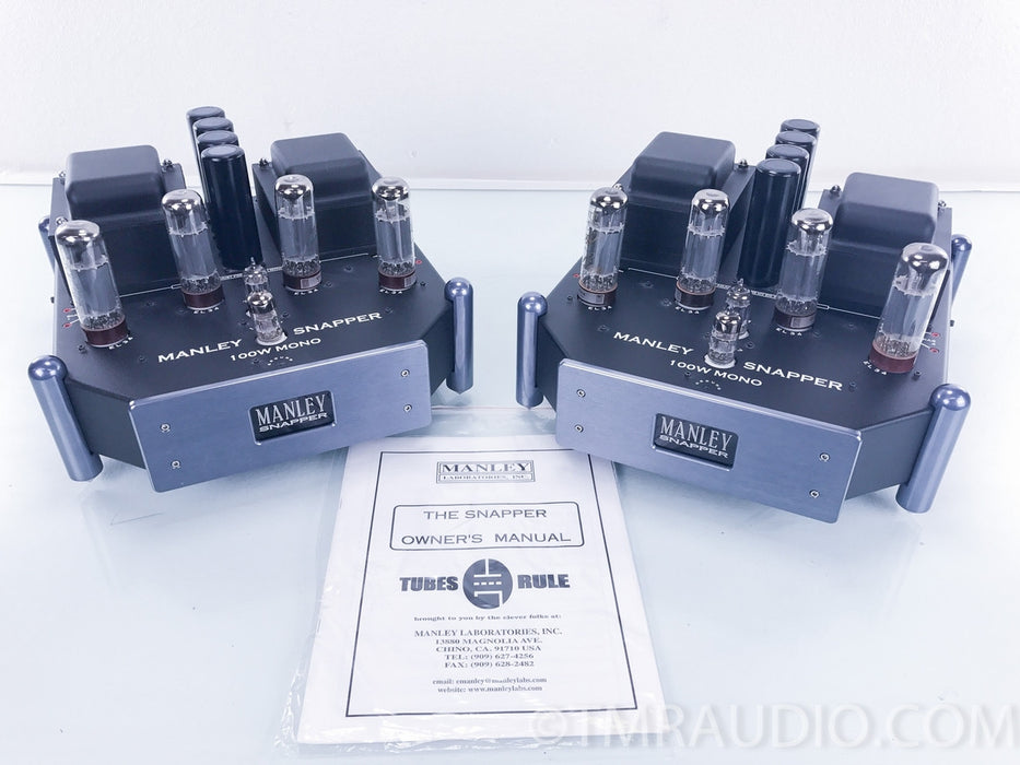Manley Labs Snapper Tube Mono Block Amplifiers