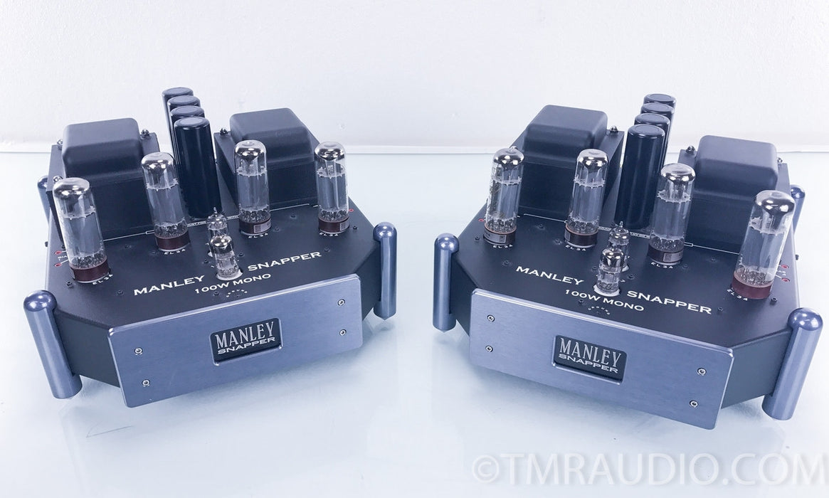 Manley Labs Snapper Tube Mono Block Amplifiers