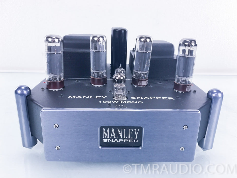 Manley Labs Snapper Tube Mono Block Amplifiers