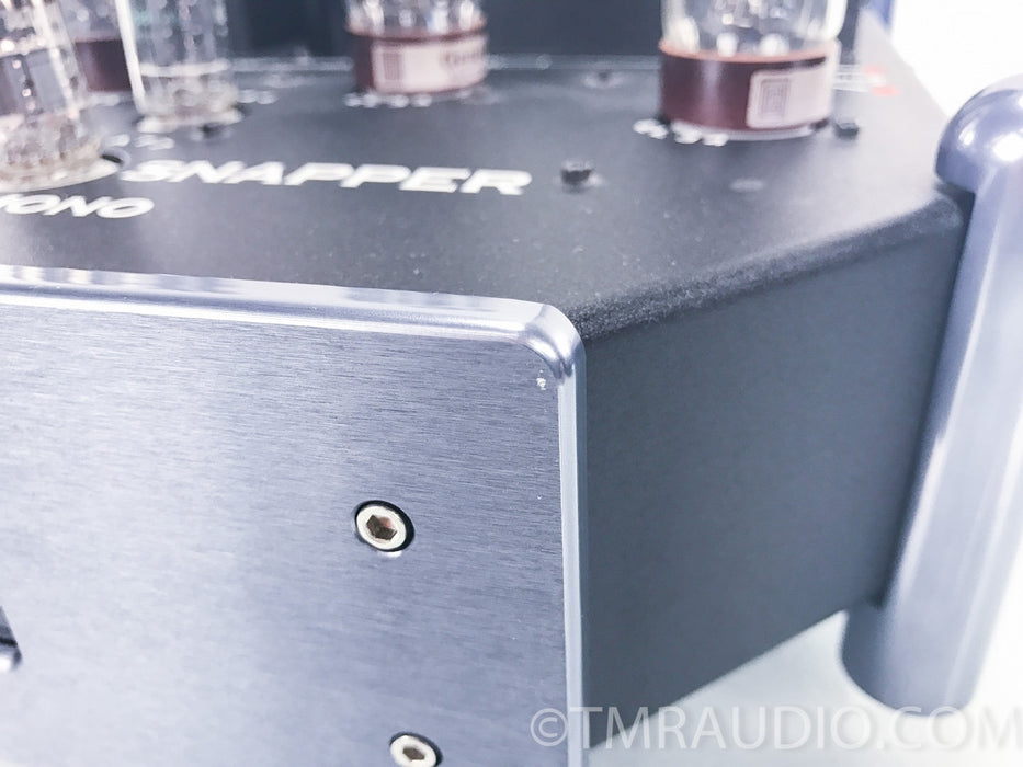 Manley Labs Snapper Tube Mono Block Amplifiers