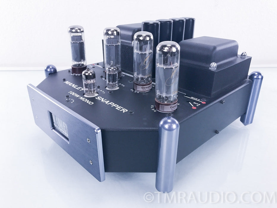 Manley Labs Snapper Tube Mono Block Amplifiers