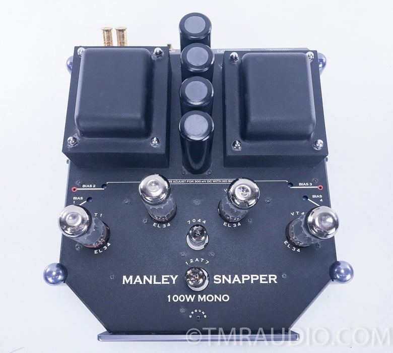 Manley Labs Snapper Tube Mono Block Amplifiers