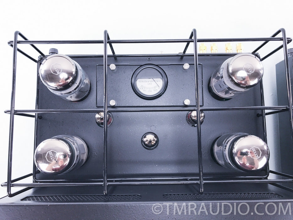 Rogue Audio M-180 Tube Monoblock Amplifiers