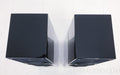 Verity Audio Parsifal Encore Floorstanding Speakers