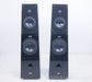 Verity Audio Parsifal Encore Floorstanding Speakers