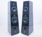 Verity Audio Parsifal Encore Floorstanding Speakers
