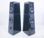 Verity Audio Parsifal Encore Floorstanding Speakers