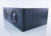 Dynaudio Audience C120+ Center Channel Speaker