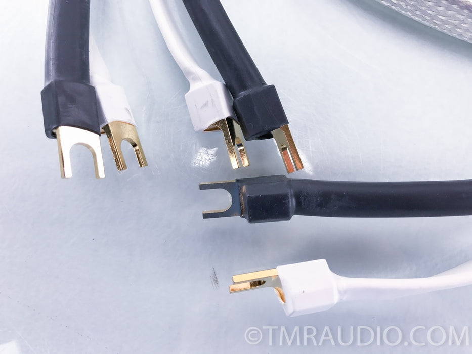 Analysis Plus Big Silver Oval Speaker Cables