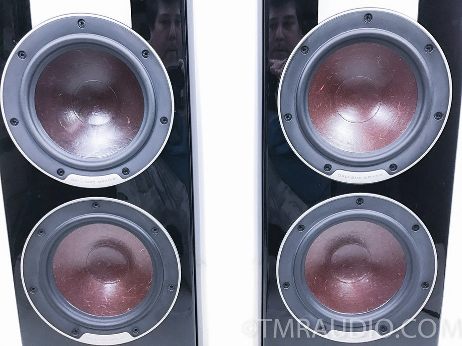 Dali Epicon 6 Floorstanding Speakers