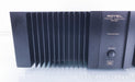 Rotel RB-991 Stereo Power Amplifier