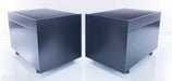 Clayton Audio M300 Mono Power Amplifiers