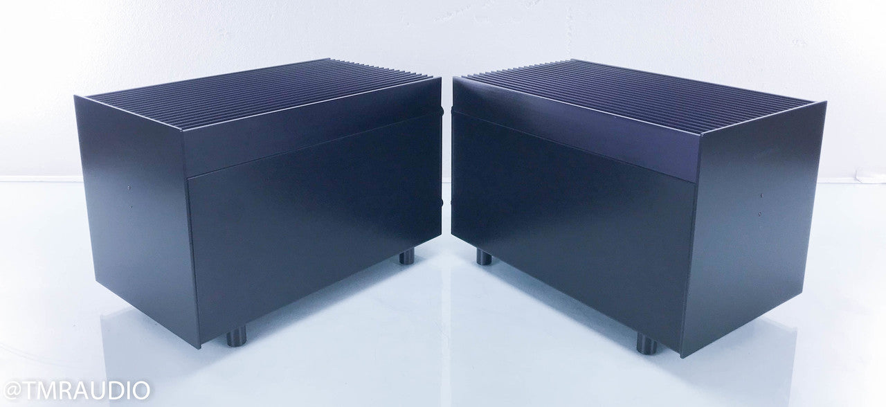 Clayton Audio M300 Mono Power Amplifiers