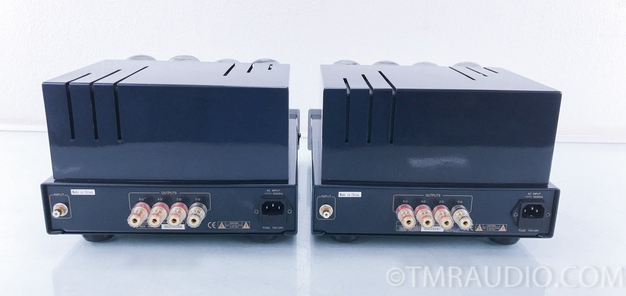 Primaluna Prologue 7 Seven Mono Tube Amplifier