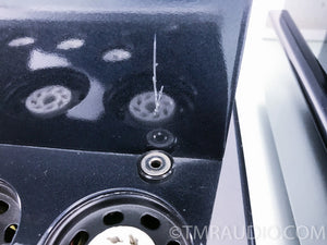 Primaluna Prologue 7 Seven Mono Tube Amplifier