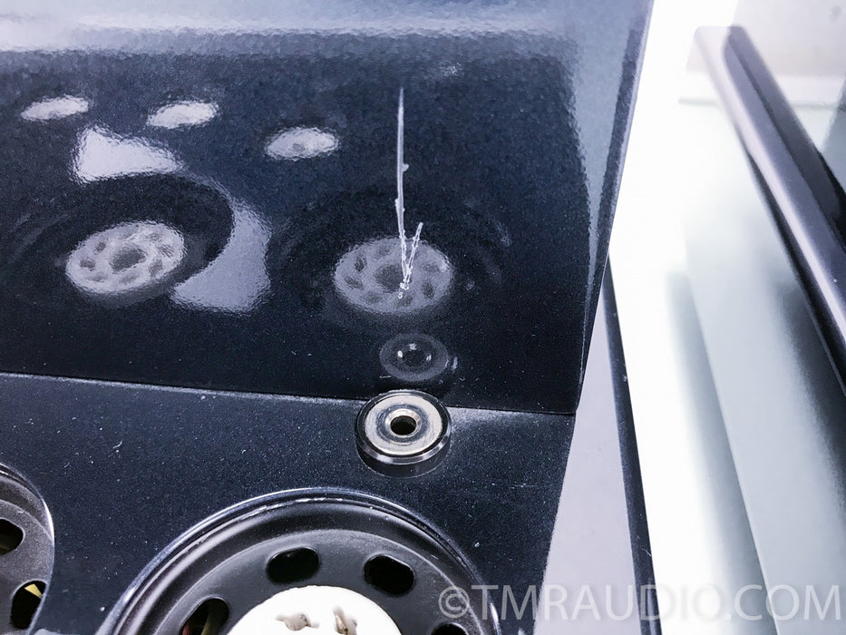 Primaluna Prologue 7 Seven Mono Tube Amplifier