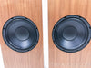 Legacy Classic Floorstanding Speakers