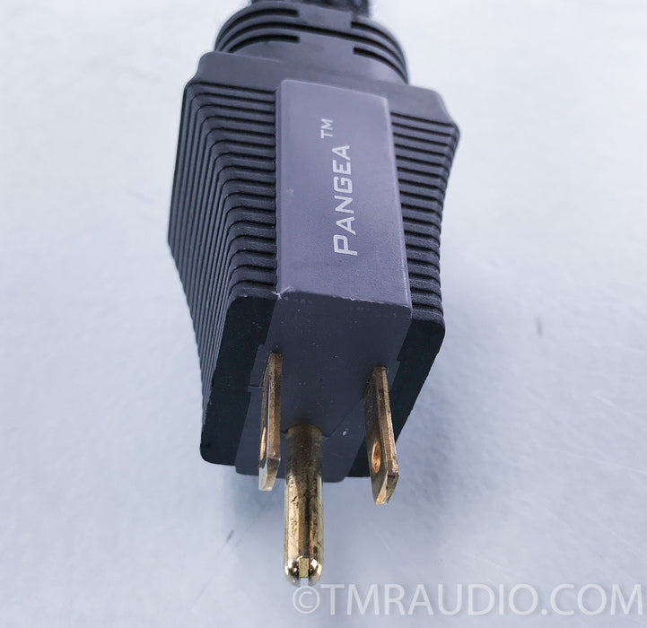 Pangea AC-9SE Power Cable
