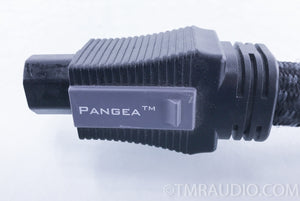 Pangea AC-9SE Power Cable