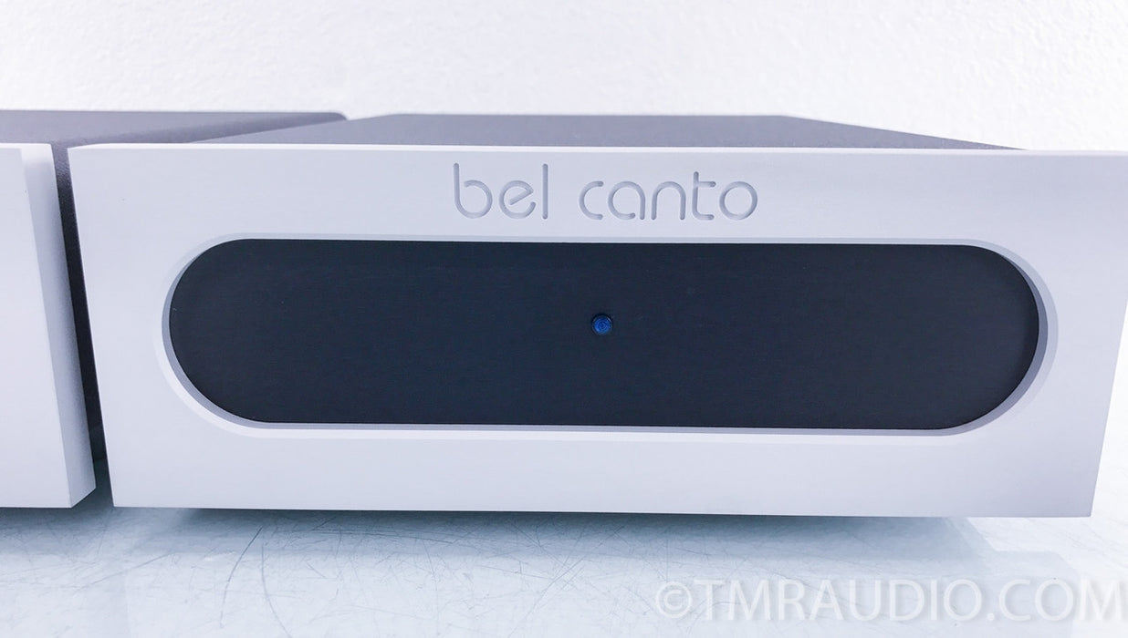 Bel Canto e.One REF1000 Mono Power Amplifiers