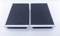 Bel Canto e.One REF1000 Mono Power Amplifiers