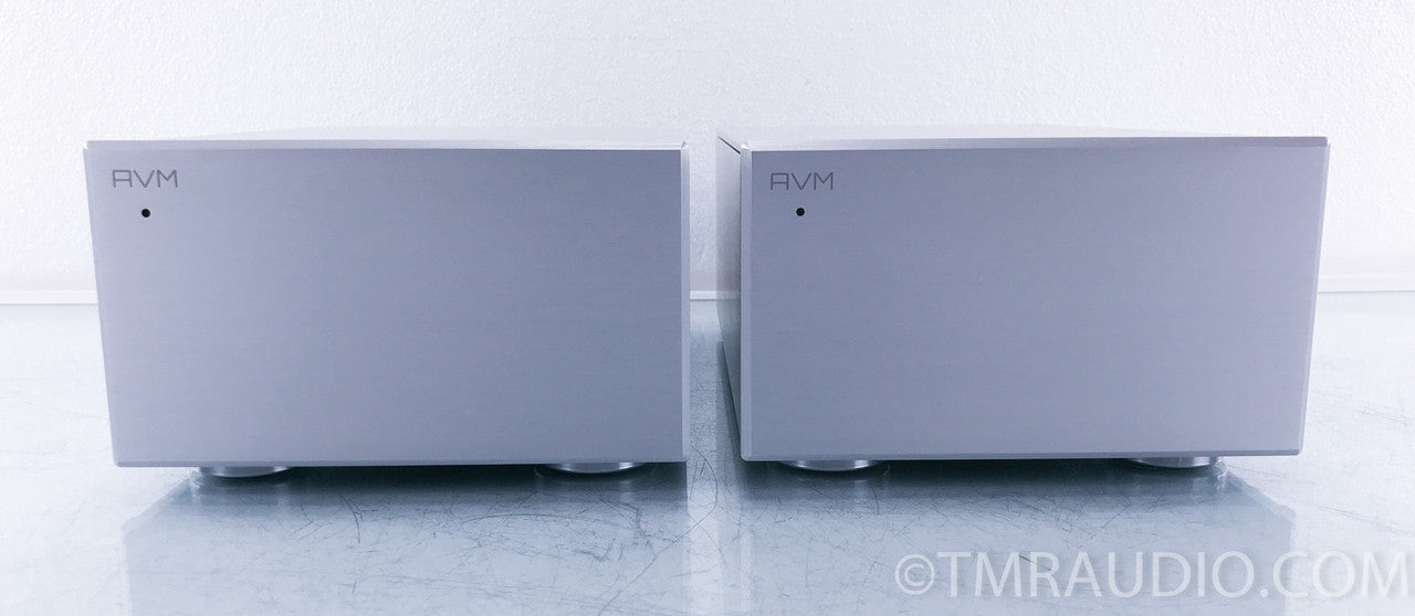 AVM Evolution MA 3.2S Monoblock Power Amplifiers