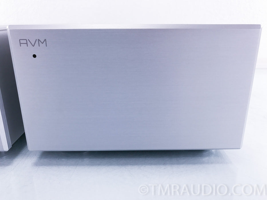 AVM Evolution MA 3.2S Monoblock Power Amplifiers