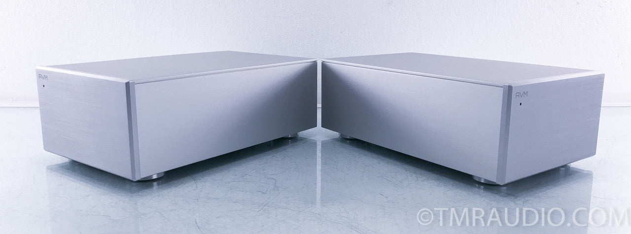 AVM Evolution MA 3.2S Monoblock Power Amplifiers