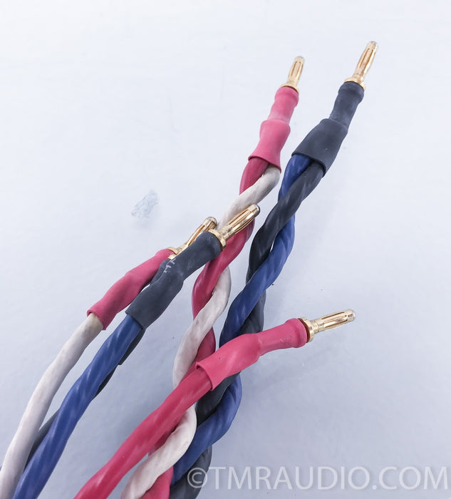 Tara Labs RSC Prime Bi-Wire Speaker Cables