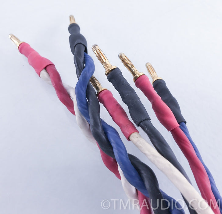 Tara Labs RSC Prime Bi-Wire Speaker Cables