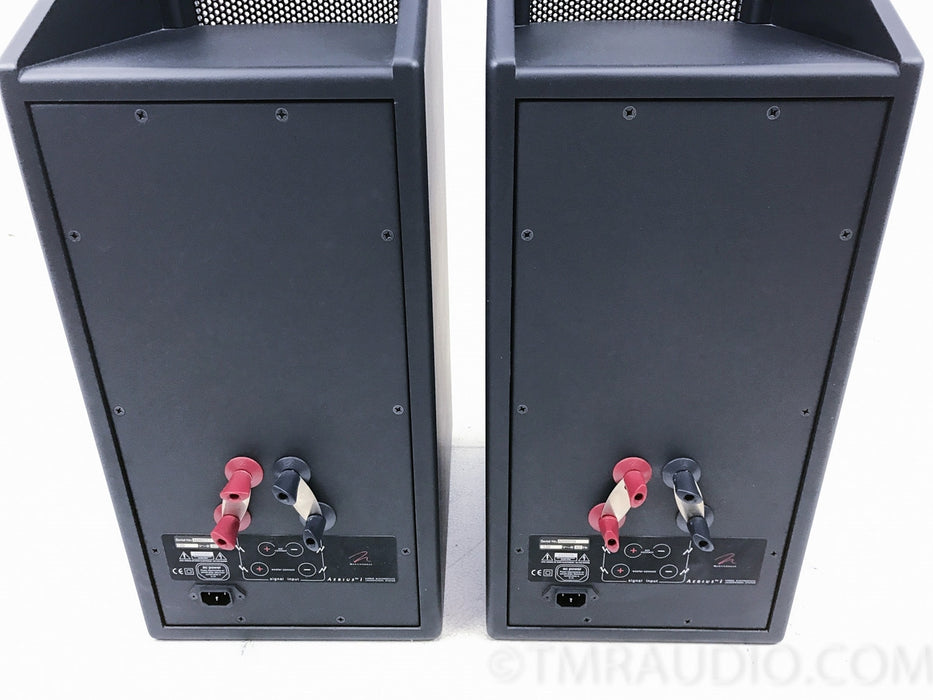 Martin Logan Aerius I Hybrid Floorstanding Speakers
