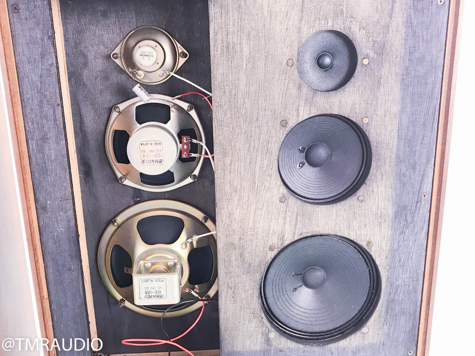 Sonics AS-66 Open Baffle Speakers