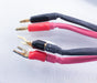 MIT AVt 3 Speaker Cables
