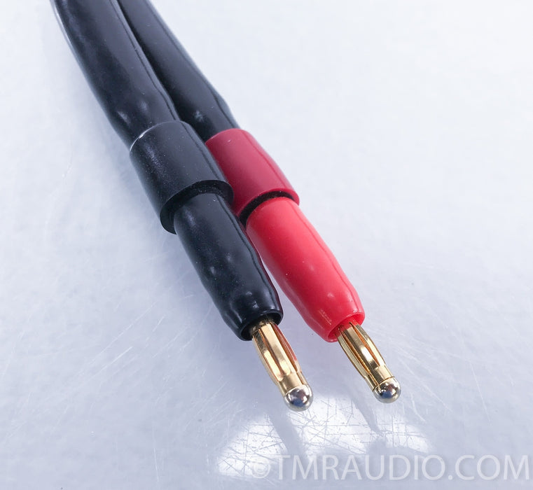 MIT AVt 3 Speaker Cables