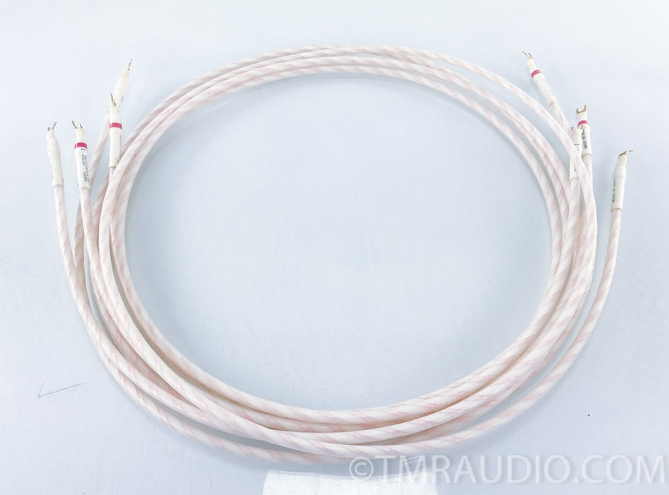 Tara Labs RSC Master Speaker Cable
