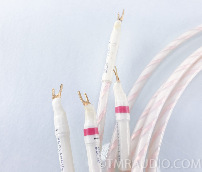 Tara Labs RSC Master Speaker Cable