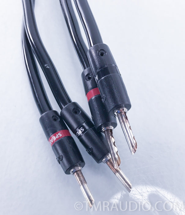 Audioquest Rocket 44 Speaker Cables