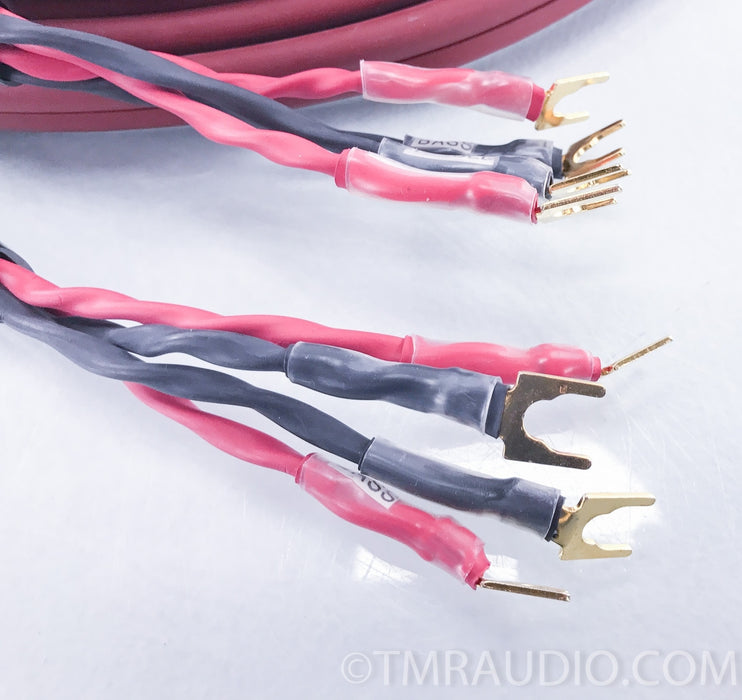 Audioquest Bedrock 40' Biwire Speaker Cables