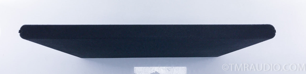 Magneplanar DWM Bass Panel