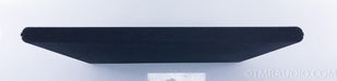 Magneplanar DWM Bass Panel