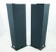 Von Schweikert VR-35 Floorstanding Speakers