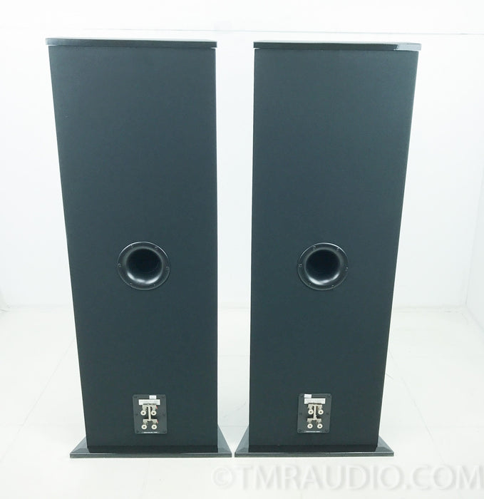 Von Schweikert VR-35 Floorstanding Speakers